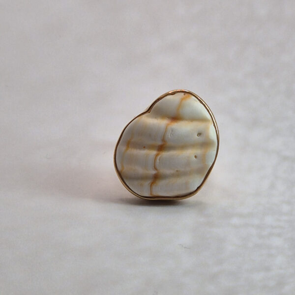 L175 Pierścionek Shell