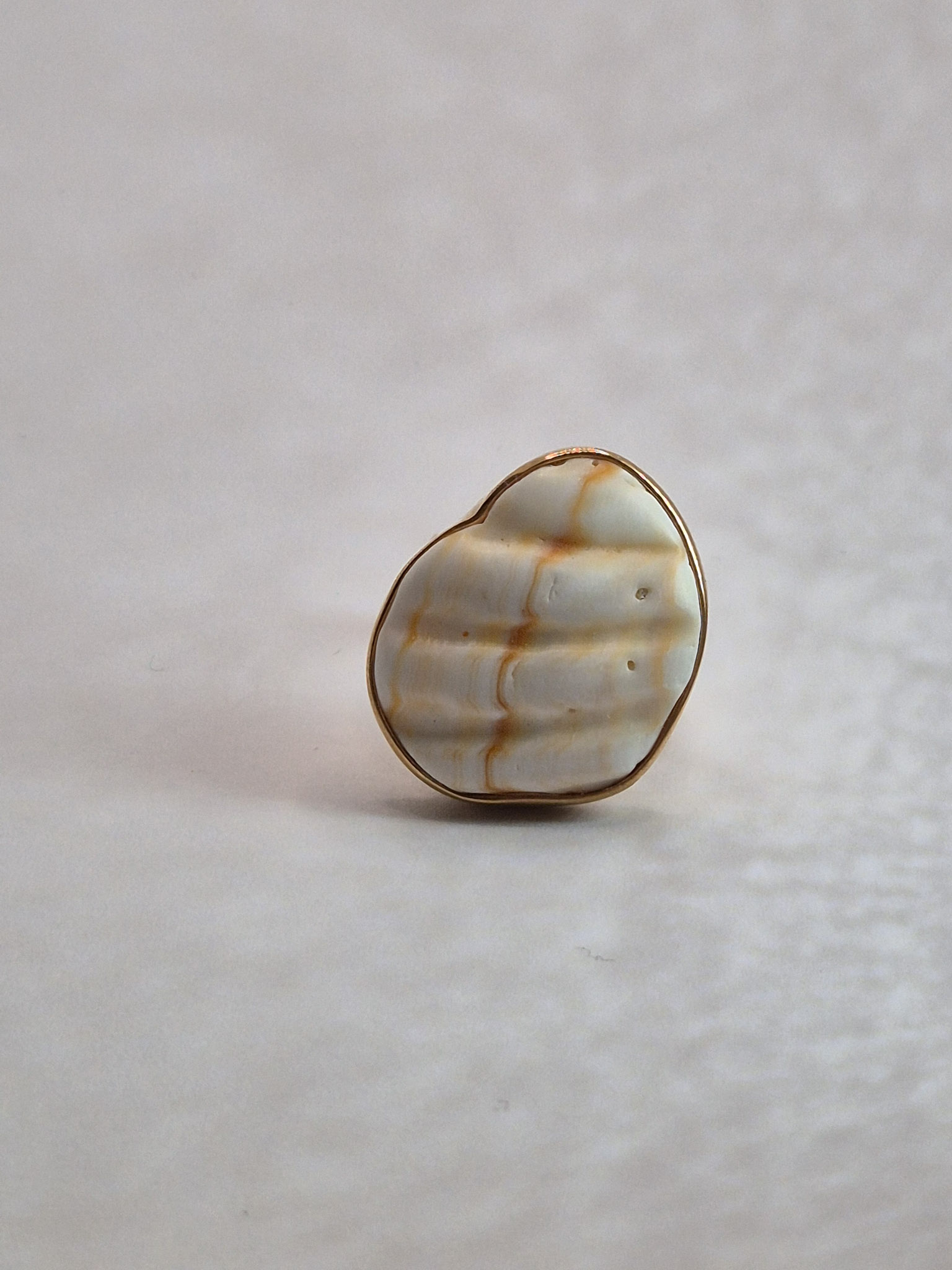 L175 Pierścionek Shell