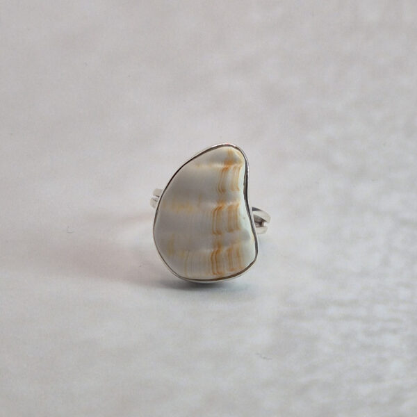 L178 Pierścionek Shell