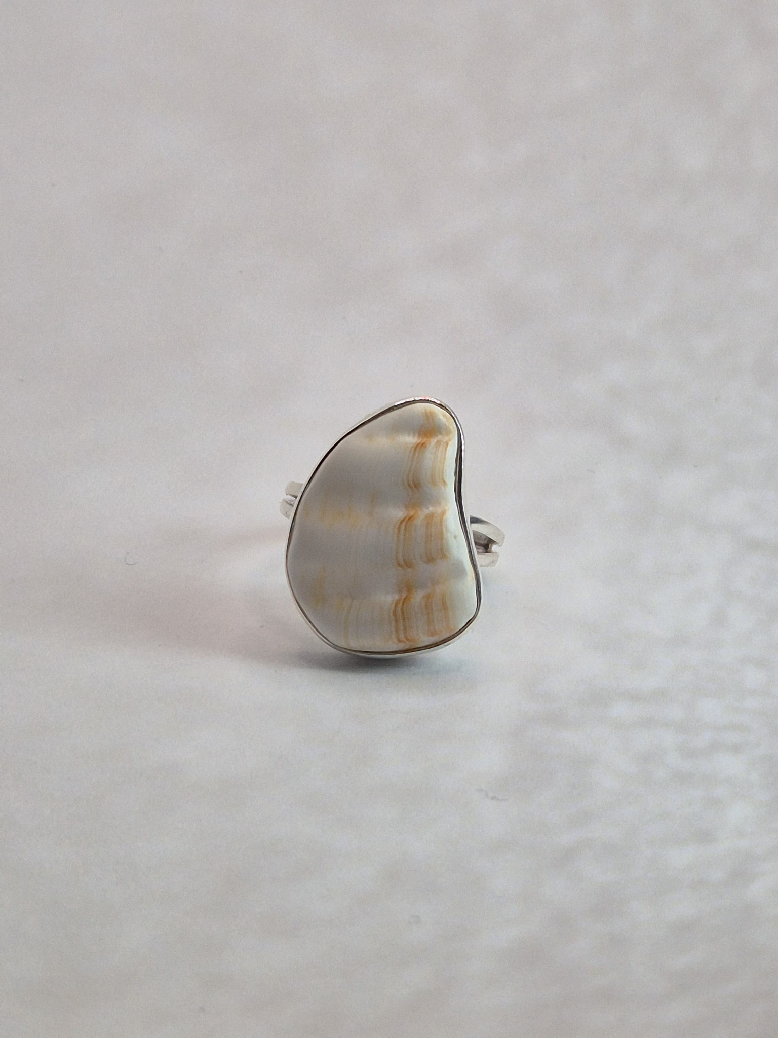 L178 Pierścionek Shell