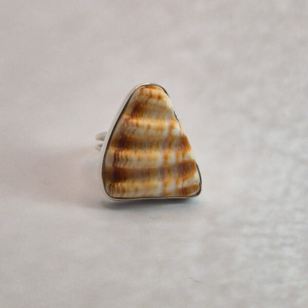 L179 Pierścionek Shell