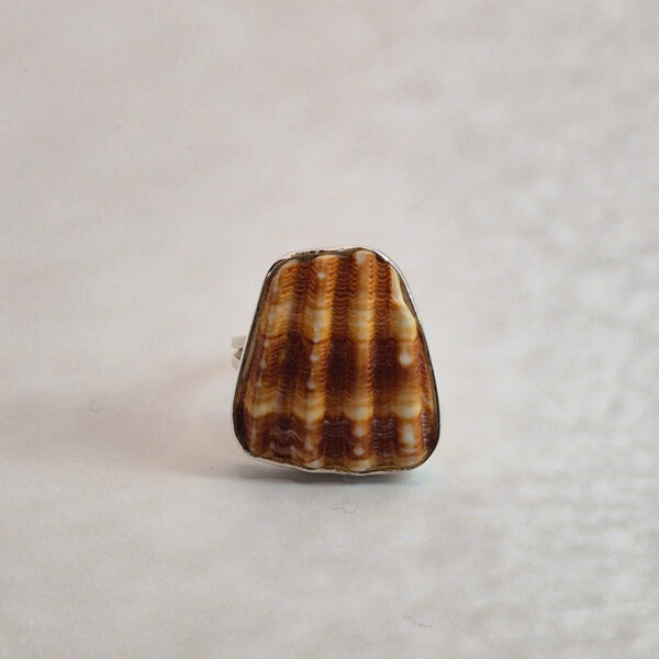 L180 Pierścionek Shell
