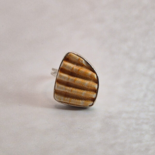 L181 Pierścionek Shell