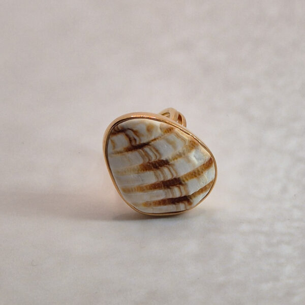 L187 Pierścionek Shell
