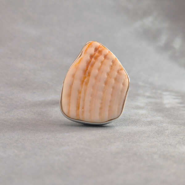 G 114 Pierścionek Shell