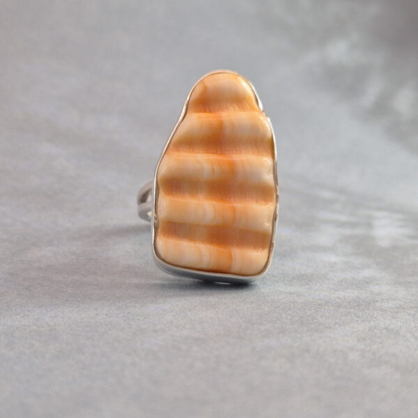 G 116 Pierścionek Shell