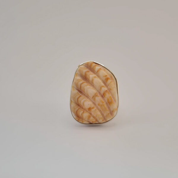 M 001 Pierścionek Shell