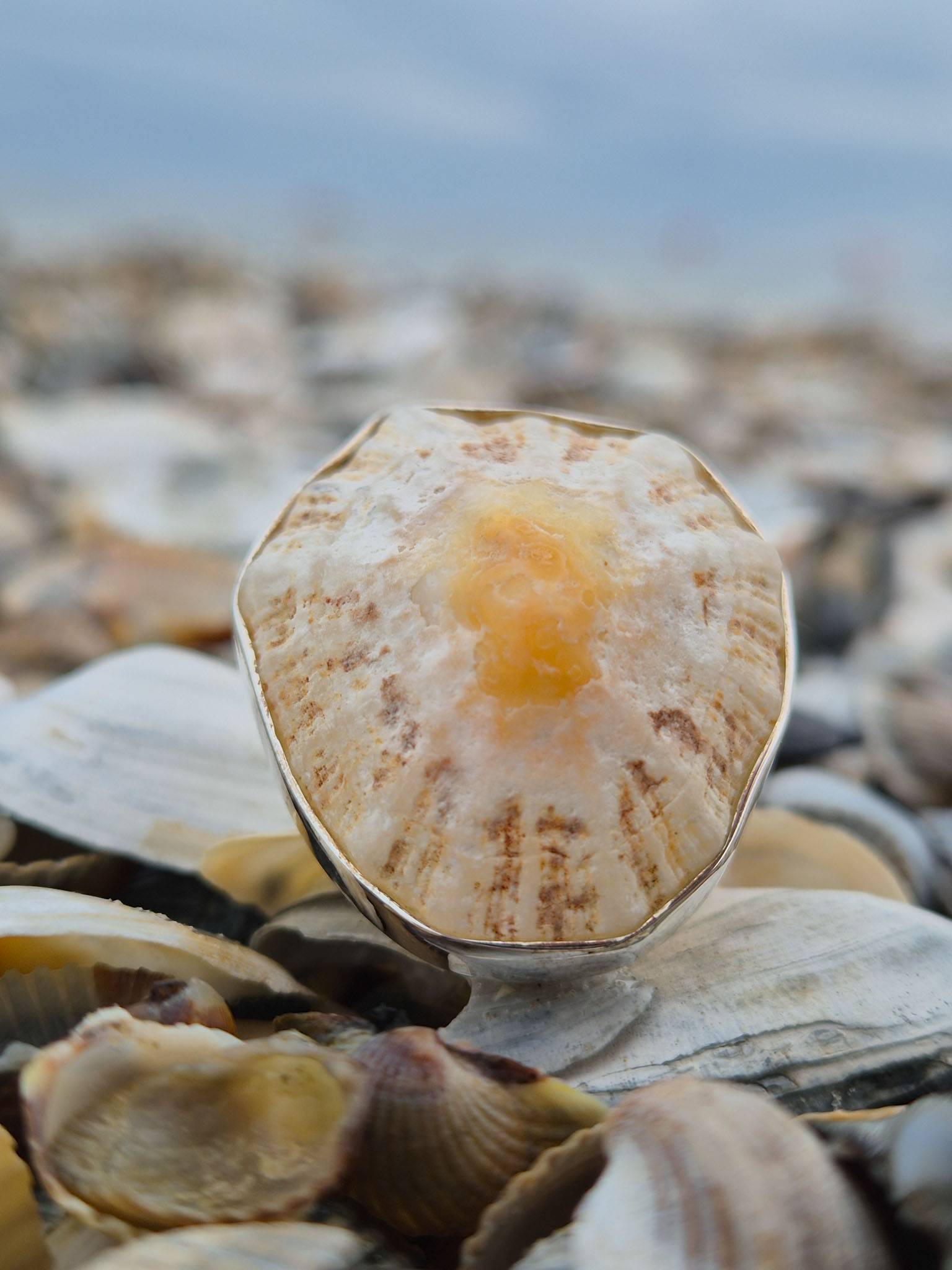Pierścionek Shell L 115