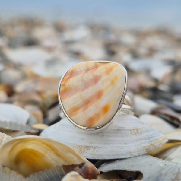 Pierścionek Shell L 117