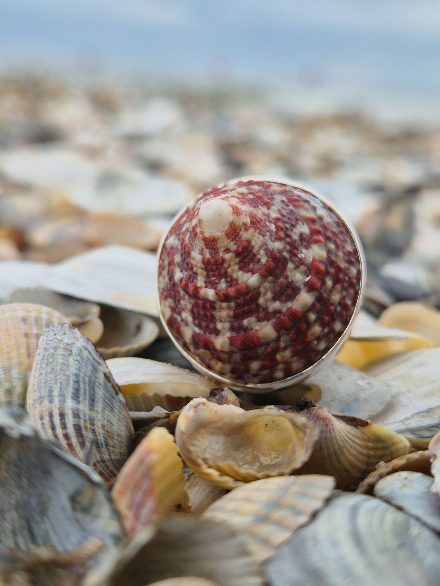 Pierścionek Shell L 116